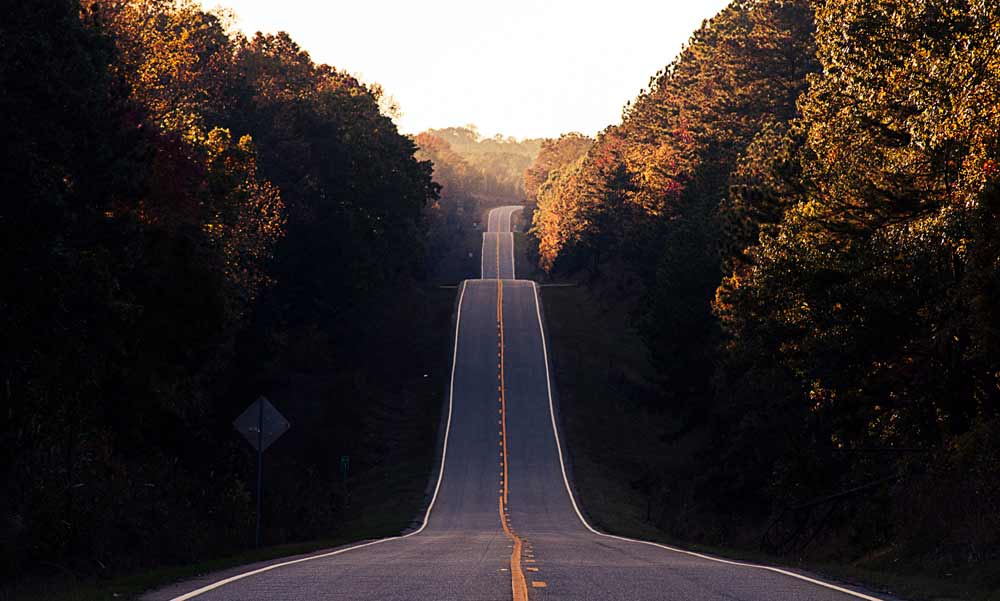 road cutting thru the forest